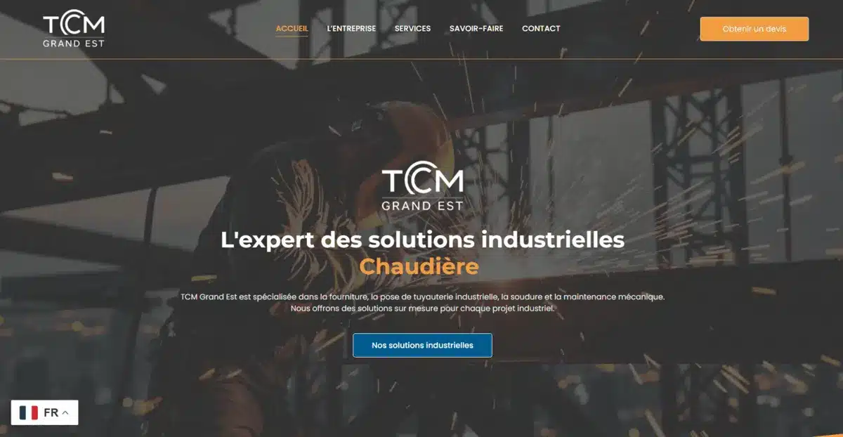 Page d’accueil du site TCM Grand Est